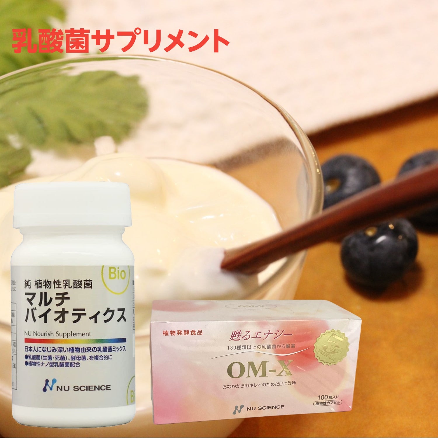 乳酸菌サプリメント