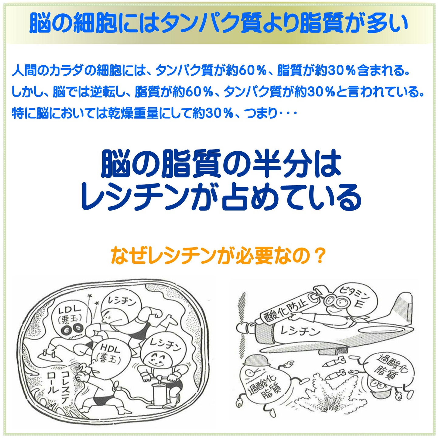 レシチンノンフレーバー