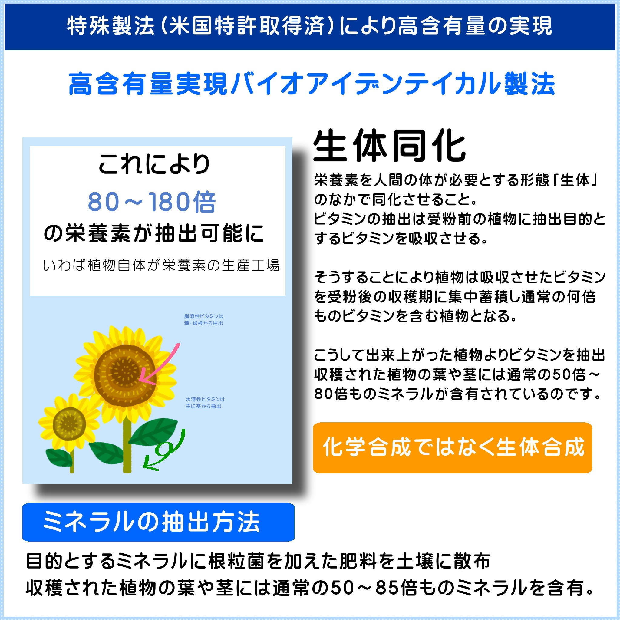 マルチミネラルビタミン – ケイエスティ本店